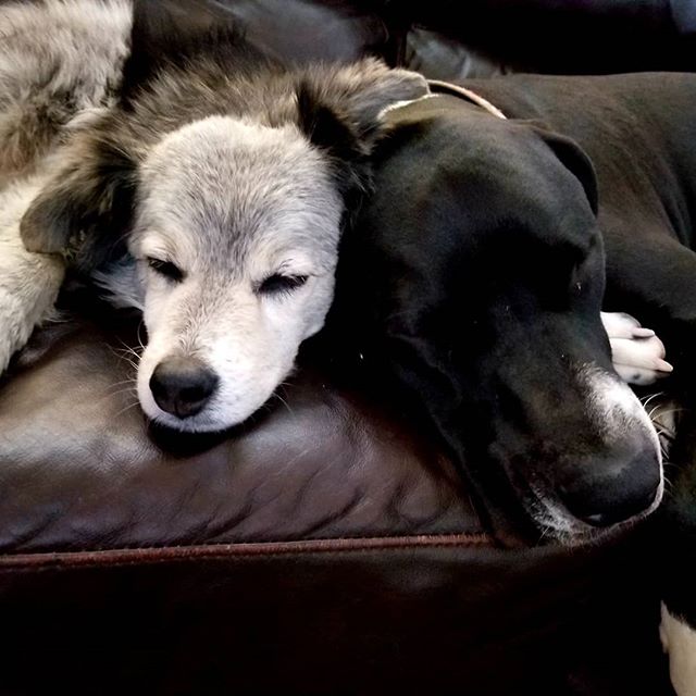 29093769_234944470412985_7492612706055225344_n