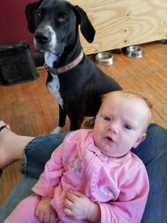 52599297_589687174833985_3791678595848470528_n